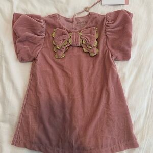 NWT - Pink Velvet Kids Dress with Gold Accents